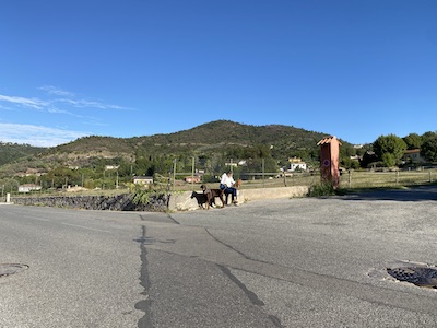 une personne assise sur un mur avec deux chiens à côté