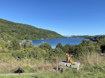 chien de type pinscher en position assis sur une pierre devant le lac de Laffrey