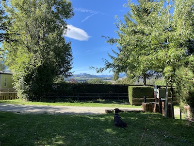 chien dobermann couché sur un emplacement du camping avec vue sur les montagnes